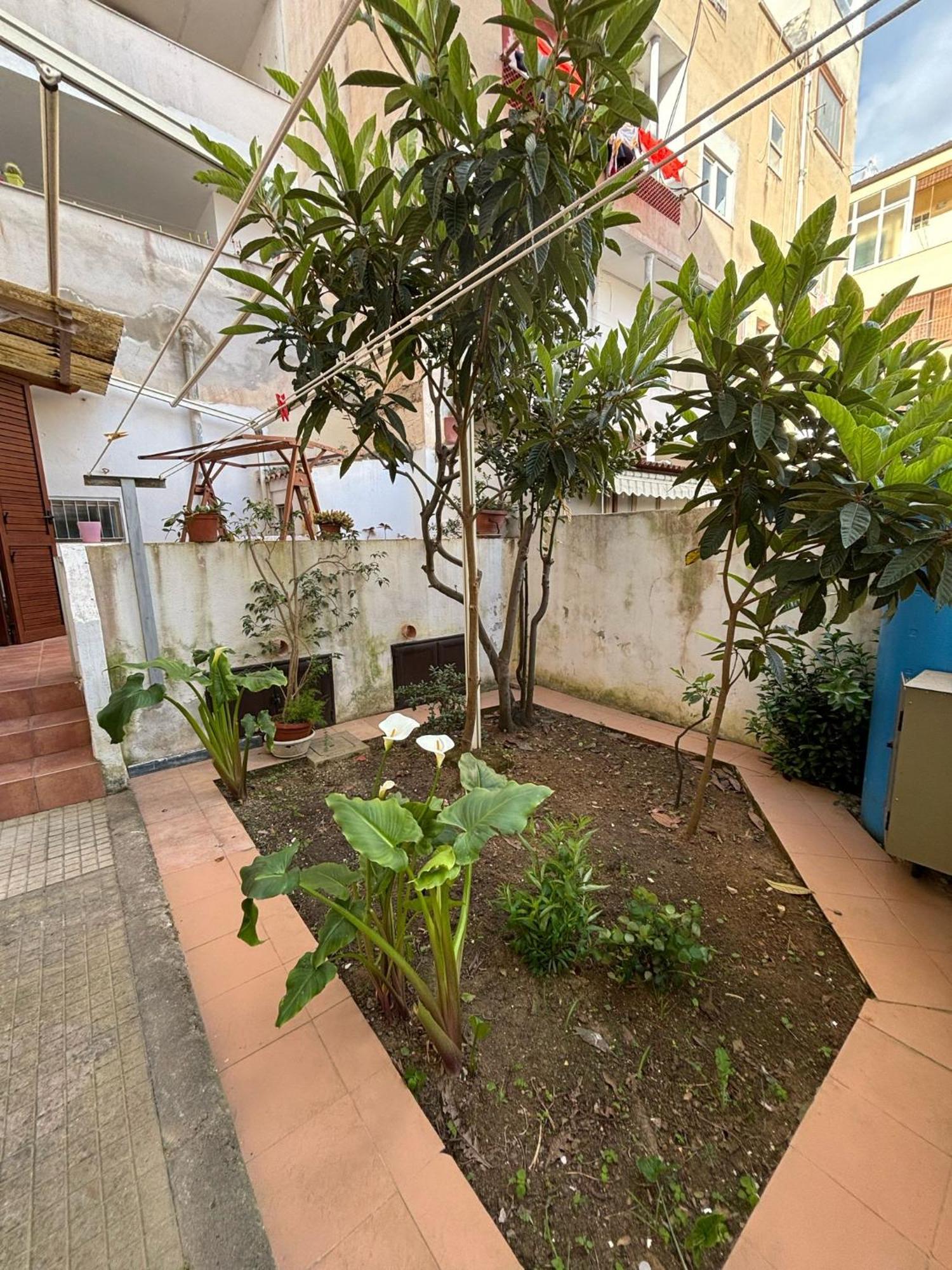 Pm 41 Via Ennio Porrino Guest House 알게로 외부 사진